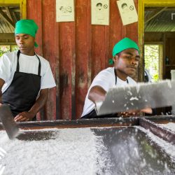 Trocknen von Kokosnüssen auf den Salomonen. Herstellung des fair gehandelten Kokosöls aus Amanprana.