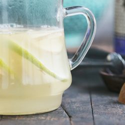 sucre de fleur de coco d'amanprana à faible IG