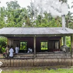 De kokosnootmolen op Solomon eilanden