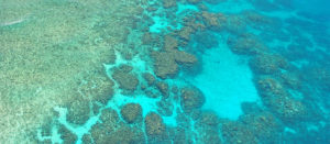 the great barrier reef in Australia