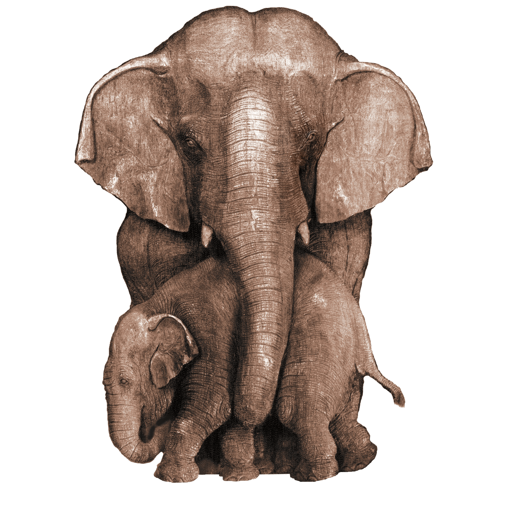 PNG-amanprana-olifant-logo-1.png