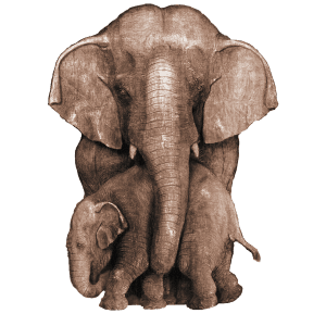 Logo del elefante amanprana