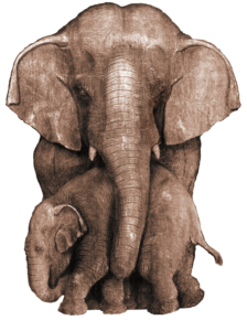 Amanprana olifant logo