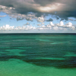 Onderzoek naar de verzuring van de oceanen door vervuiling en CO2