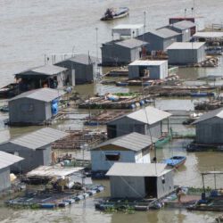 Fischzucht in Vietnam: Fisch essen ist ungesund wegen Mikroplastik, Hormone und Überfischung