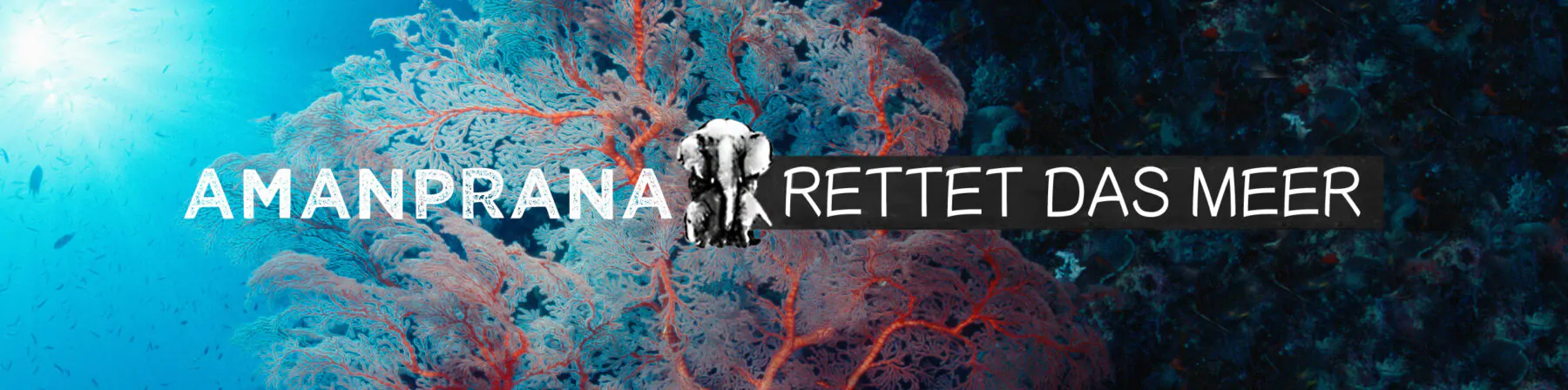 banner - rettet das mer