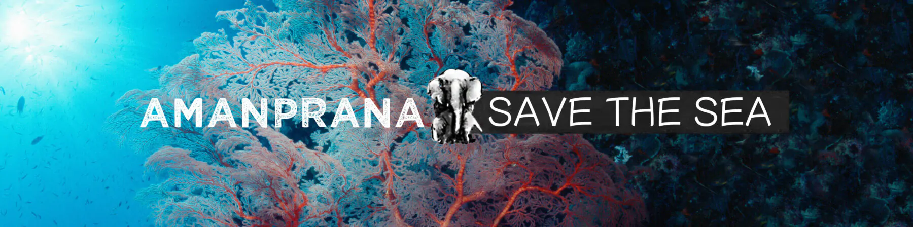 banner - Save the Sea