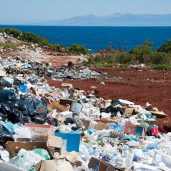 beatplastic met wwf en armin