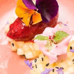 Onderaan de compote van appel en kokosbloesemsuiker met daarboven de sorbet van bosbessen