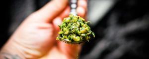 Pesto vert: un pesto d'ail sauvage (ou roquette) aux oméga-3