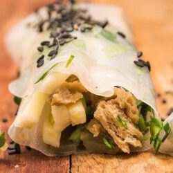 Vegetarische spring rolls met seitan van bertyn voor een gezonde maaltijd