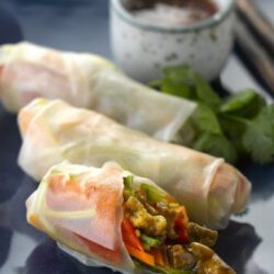 Spring rolls with teriyaki seitan